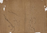 藏品(鷺鷥)的圖片