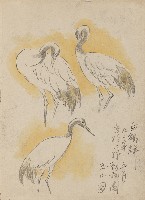 藏品((1)白鶴群；(2)回教之建築)的圖片