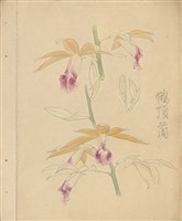 藏品((1)鶴頂蘭(水彩)；(2)櫻樹枝(鉛描))的圖片