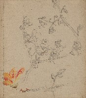 藏品((1)木棉；(2)木棉)的圖片