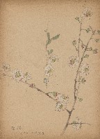 藏品((1)唐梅；(2)茶花)的圖片