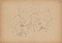 藏品(二朵蘭花)的圖片