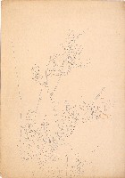 藏品(紫藤花)的圖片