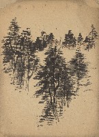 藏品(森林)的圖片