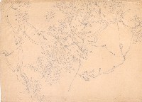 藏品(紫藤花)的圖片