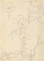 藏品((1)牽牛花；(2)荷花葉)的圖片