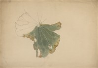 藏品((1)荷花半片葉；(2)樹枝草稿)的圖片