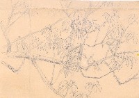 藏品(樹)的圖片