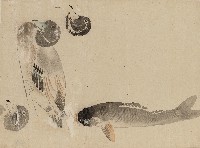 藏品(川端習畫臨稿 (鯉魚、綠頭鴨))的圖片