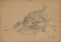 藏品((1)紅鯛；(2)梅茶)的圖片