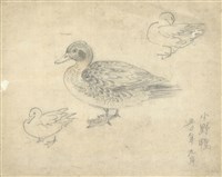 藏品((1)小野鴨；(2)小野鴨)的圖片