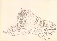 藏品(母子虎(草稿))的圖片