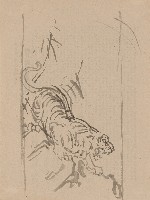 藏品(下山虎)的圖片