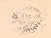 藏品(躍虎)的圖片