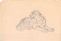 藏品(臥虎)的圖片