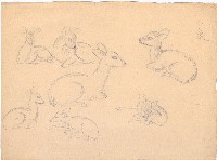 藏品(小鹿群)的圖片