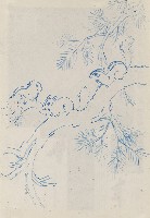 藏品(三松鼠於松樹上)的圖片