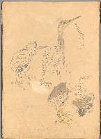 藏品(花、鳥等037)的圖片