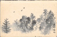 藏品(模特兒、南部村、鳥等052-2)的圖片