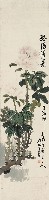 藏品(牡丹)的圖片