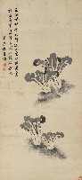 藏品(白菜)的圖片