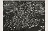 藏品(遠遠關注著)的圖片