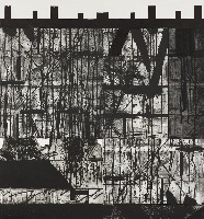 藏品(牆的地景 II)的圖片