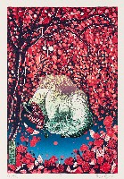 藏品(牛)的圖片