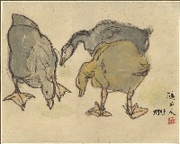 藏品(鵝)的圖片