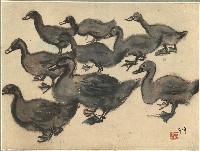 藏品(鴨子)的圖片