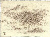 藏品(埔里)的圖片