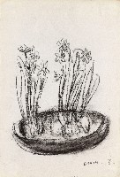 藏品(靜物)的圖片