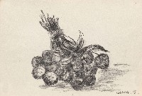 藏品(靜物)的圖片