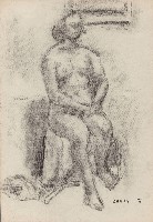 藏品(裸女)的圖片