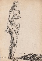 藏品(裸女)的圖片