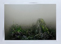 藏品(應許之地II)的圖片