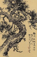 藏品(松風龍吟)的圖片