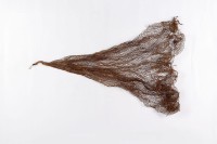 藏品(魚網)的圖片