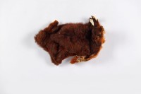 藏品(獸皮)的圖片