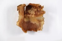 藏品(獸皮)的圖片