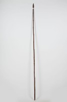 藏品(長矛)的圖片