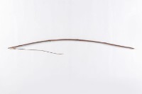 藏品(弓)的圖片