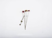 藏品(頭飾銀花)的圖片