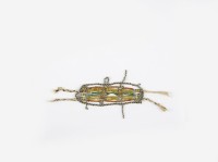 藏品(琉璃珠足踝飾品)的圖片
