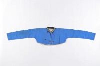 藏品(長袖短襬上衣、長袖短衣)的圖片