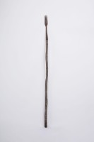 藏品(魚叉)的圖片