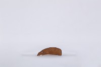 藏品(椰子殼湯匙、椰殼匙)的圖片