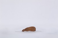 藏品(椰子殼湯匙、椰殼匙)的圖片