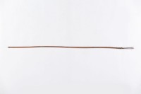 藏品(魚叉)的圖片