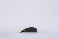 藏品(椰子殼湯匙、椰殼匙)的圖片